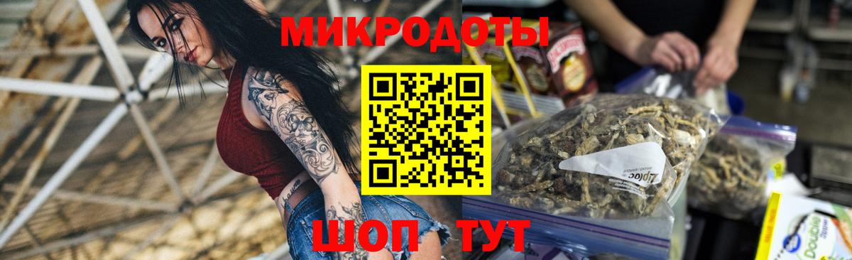 Новочебоксарск  Псилоцибиновые грибы Psilocybe  Вход с VPN  Псилоцибиновые грибы GOLDEN TEACHER 